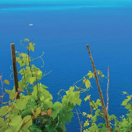 Two-bedroom With Sea View In
