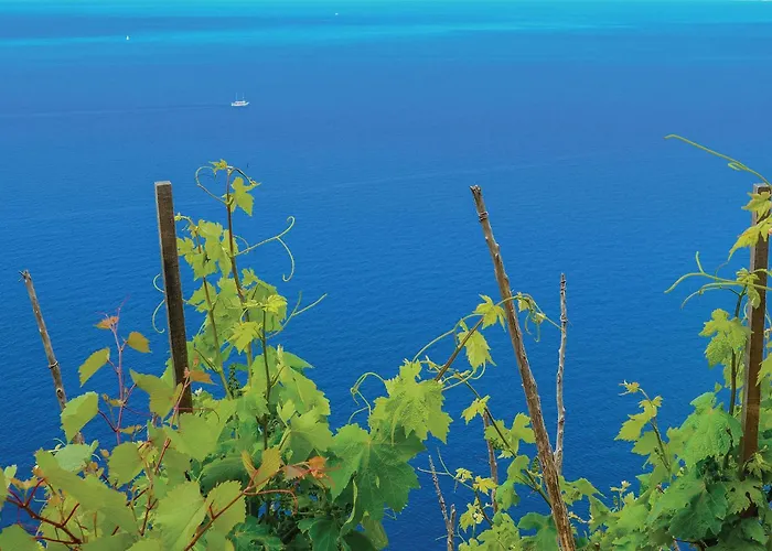Two-bedroom With Sea View In