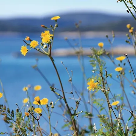 Apartment Two-Bedroom Apartment With Sea View In Orebic *